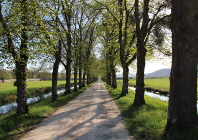 Grands tilleuls de l'abbaye de Reigny, hébergement pour les mariages, séminaires, réunions