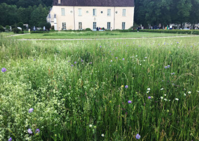 Abbaye de Reigny