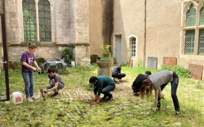 Week-end chantiers participatifs portant sur l’entretien du parc