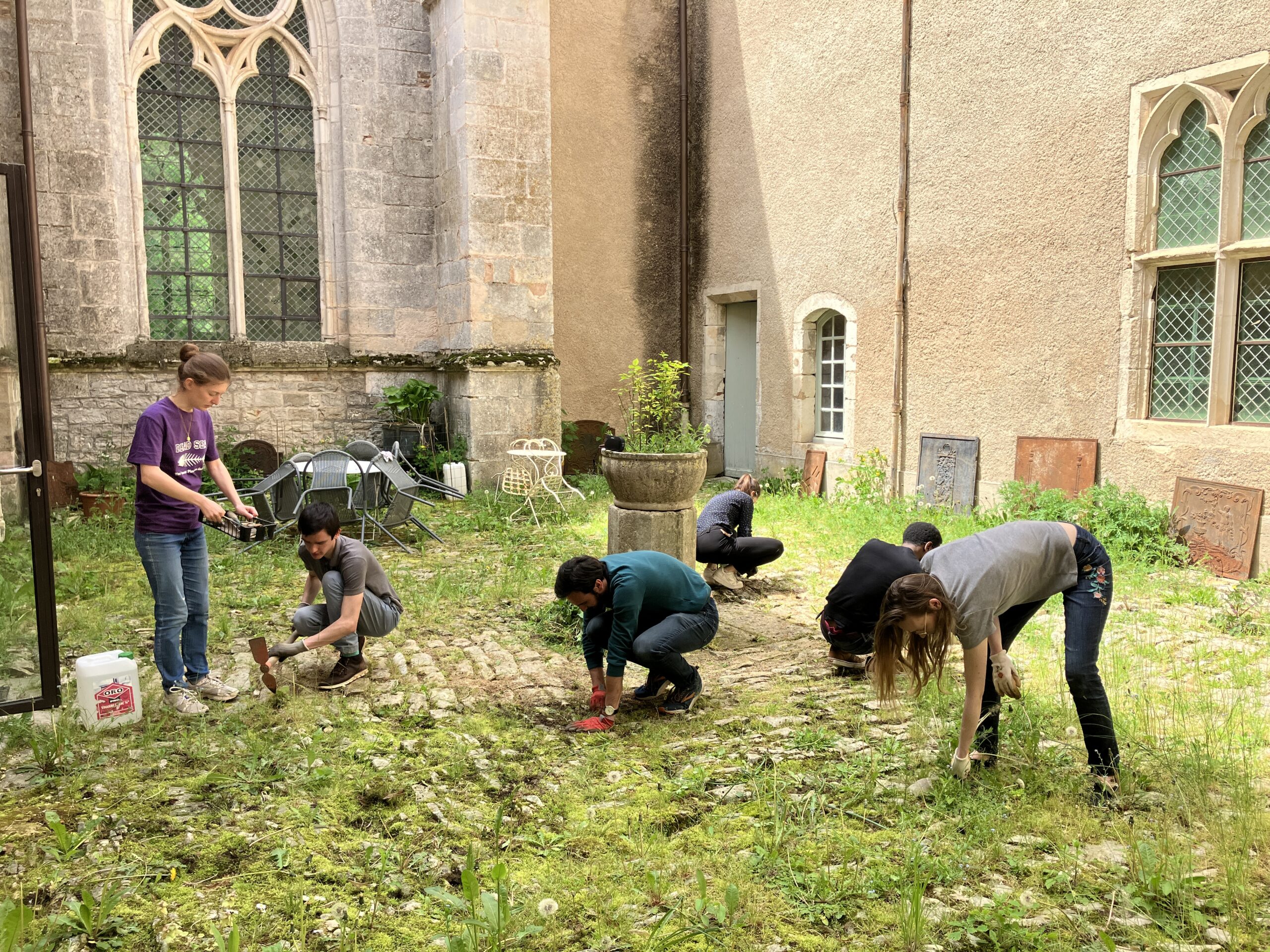 Week-end chantiers participatifs portant sur l’entretien du parc de l'abbaye de Reigny dans l'Yonne