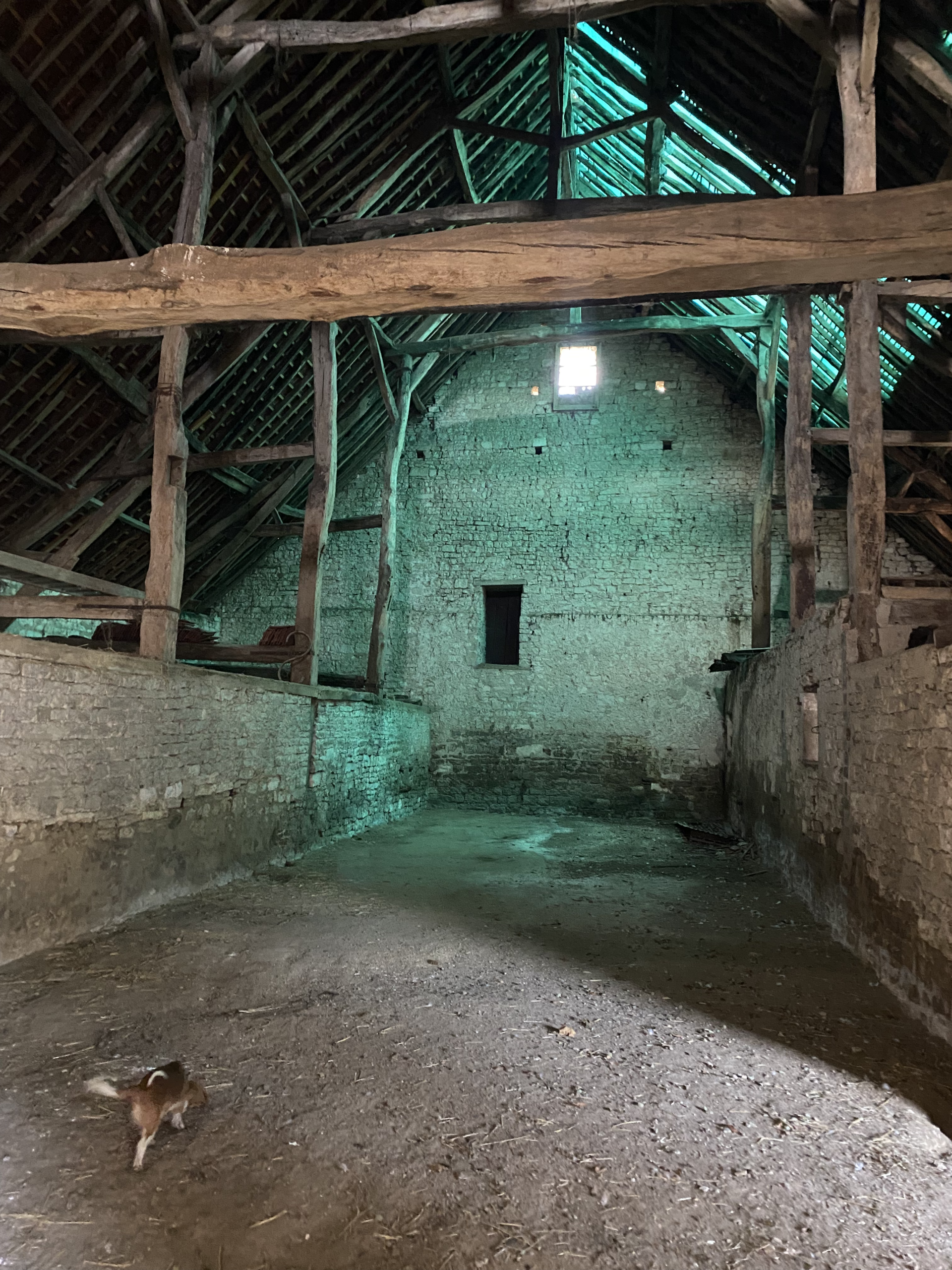 Week-end chantiers participatifs portant sur la réhabilitation des bâtiments de la ferme de l'Abbaye de Reigny dans l'Yonne